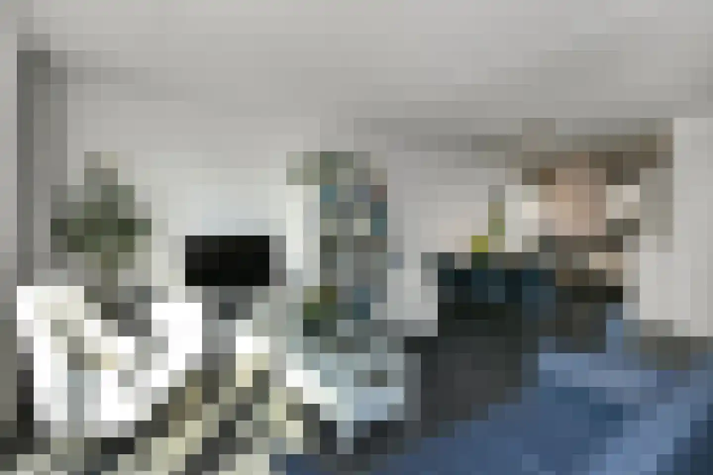 Buurmeester 14 Elst thumbnail 7