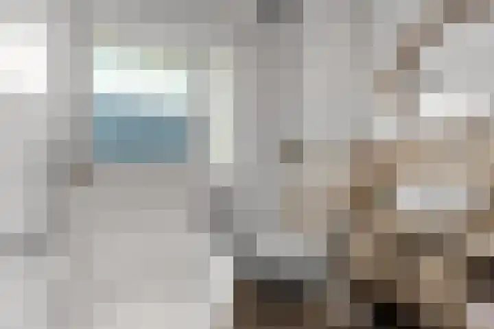 Buurmeester 16 Elst thumbnail 25