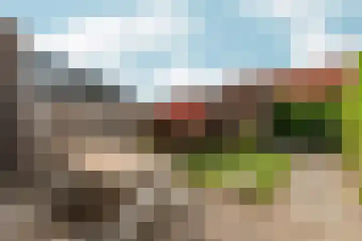 Buurmeester 16 Elst thumbnail 34