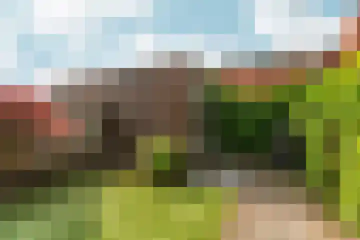 Buurmeester 16 Elst thumbnail 35
