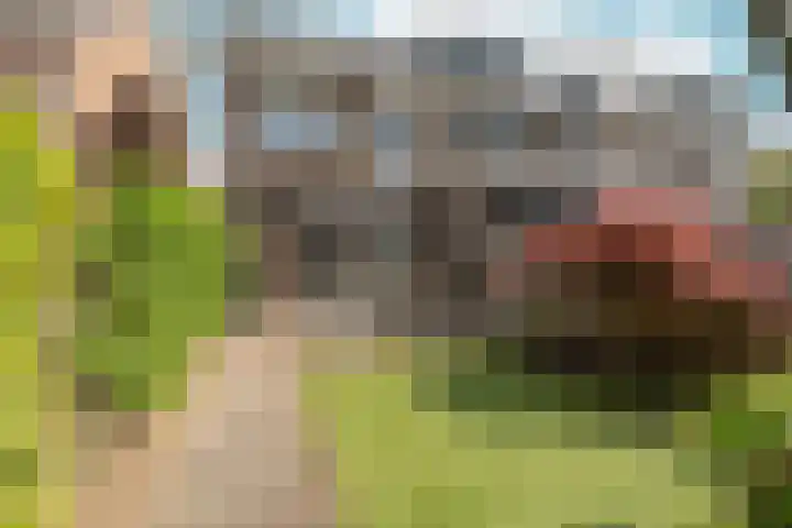 Buurmeester 16 Elst thumbnail 36