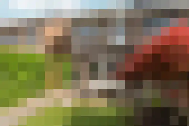 Buurmeester 16 Elst thumbnail 37