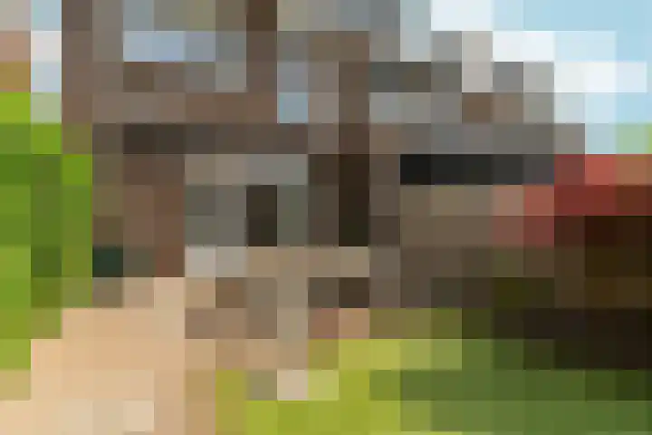 Buurmeester 16 Elst thumbnail 38