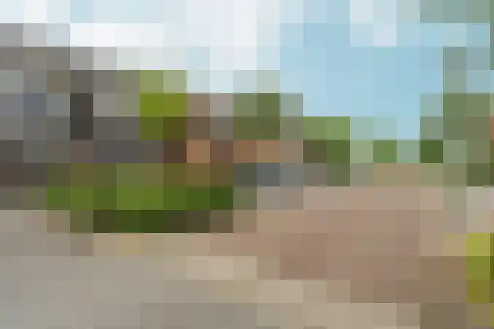 Buurmeester 16 Elst thumbnail 44