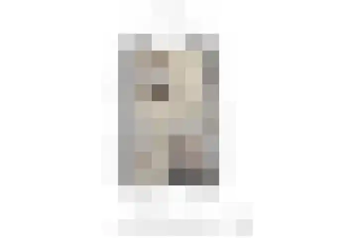 Buurmeester 16 Elst thumbnail 45