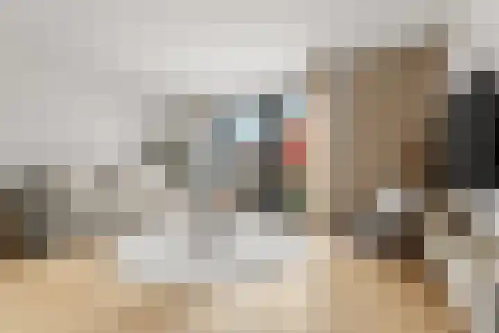 Buurmeester 16 Elst thumbnail 5