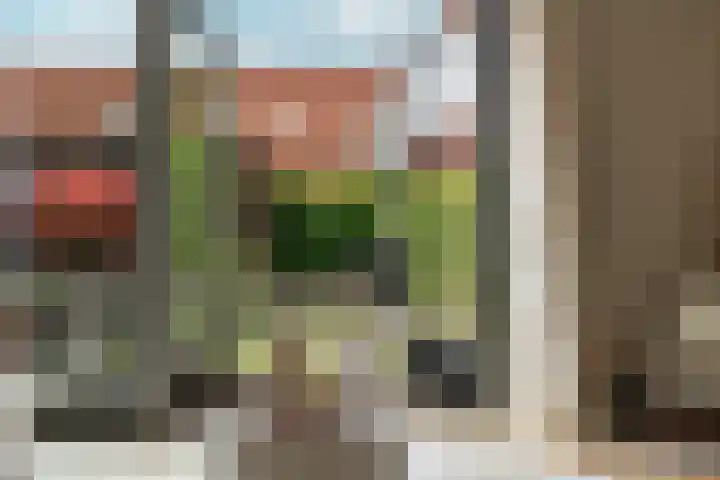 Buurmeester 16 Elst thumbnail 6