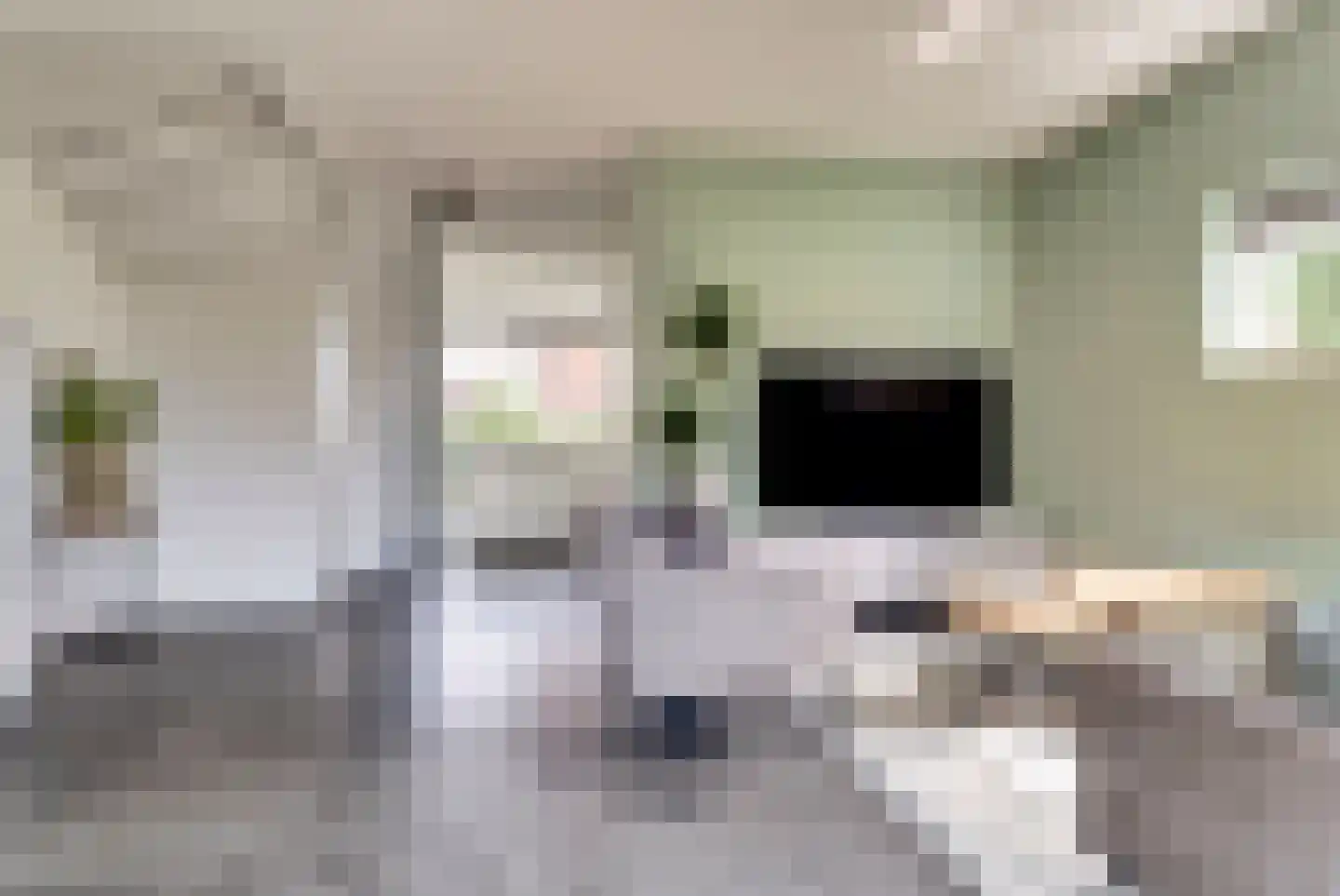 Buurmeester 38 Elst thumbnail 10