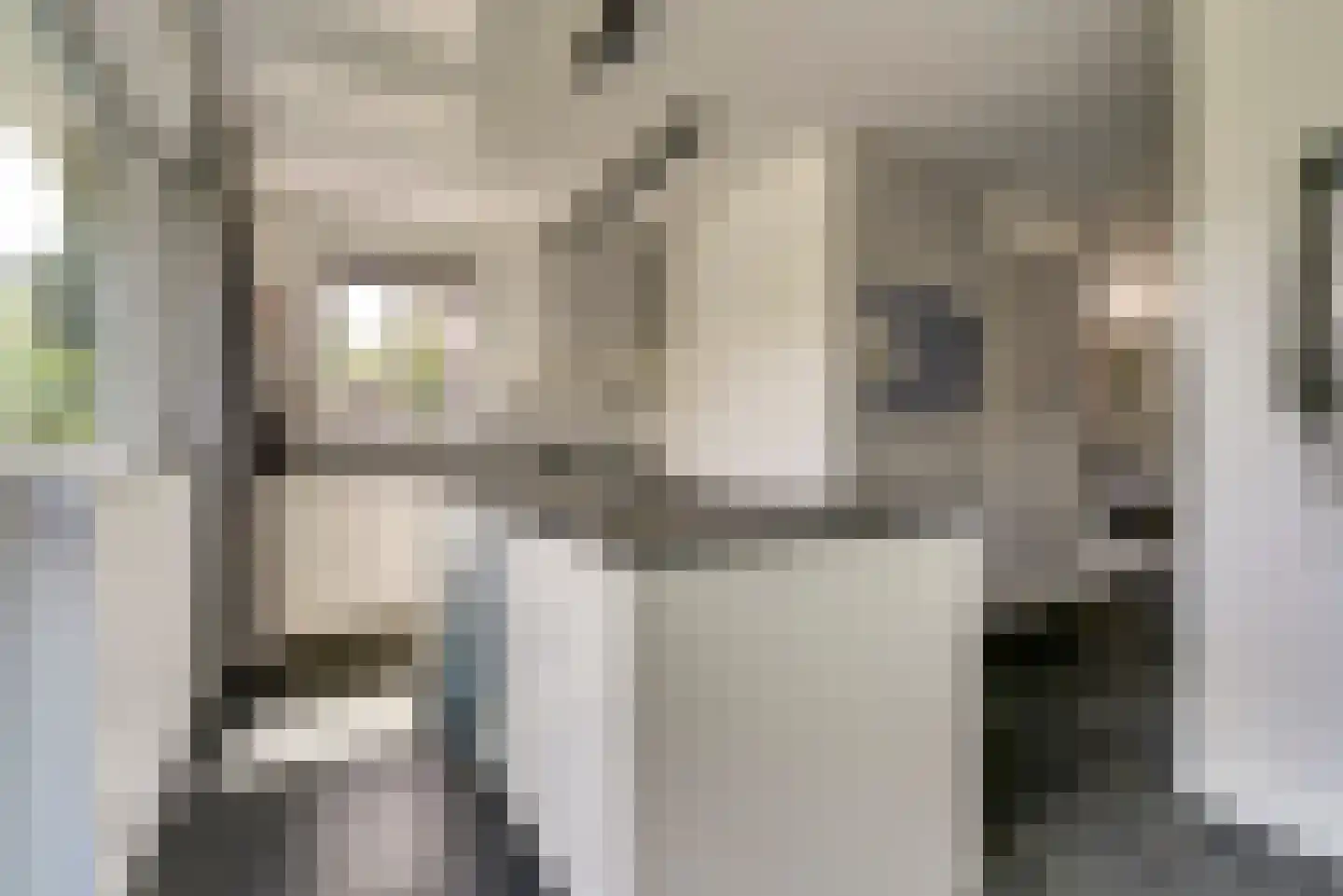 Buurmeester 38 Elst thumbnail 14