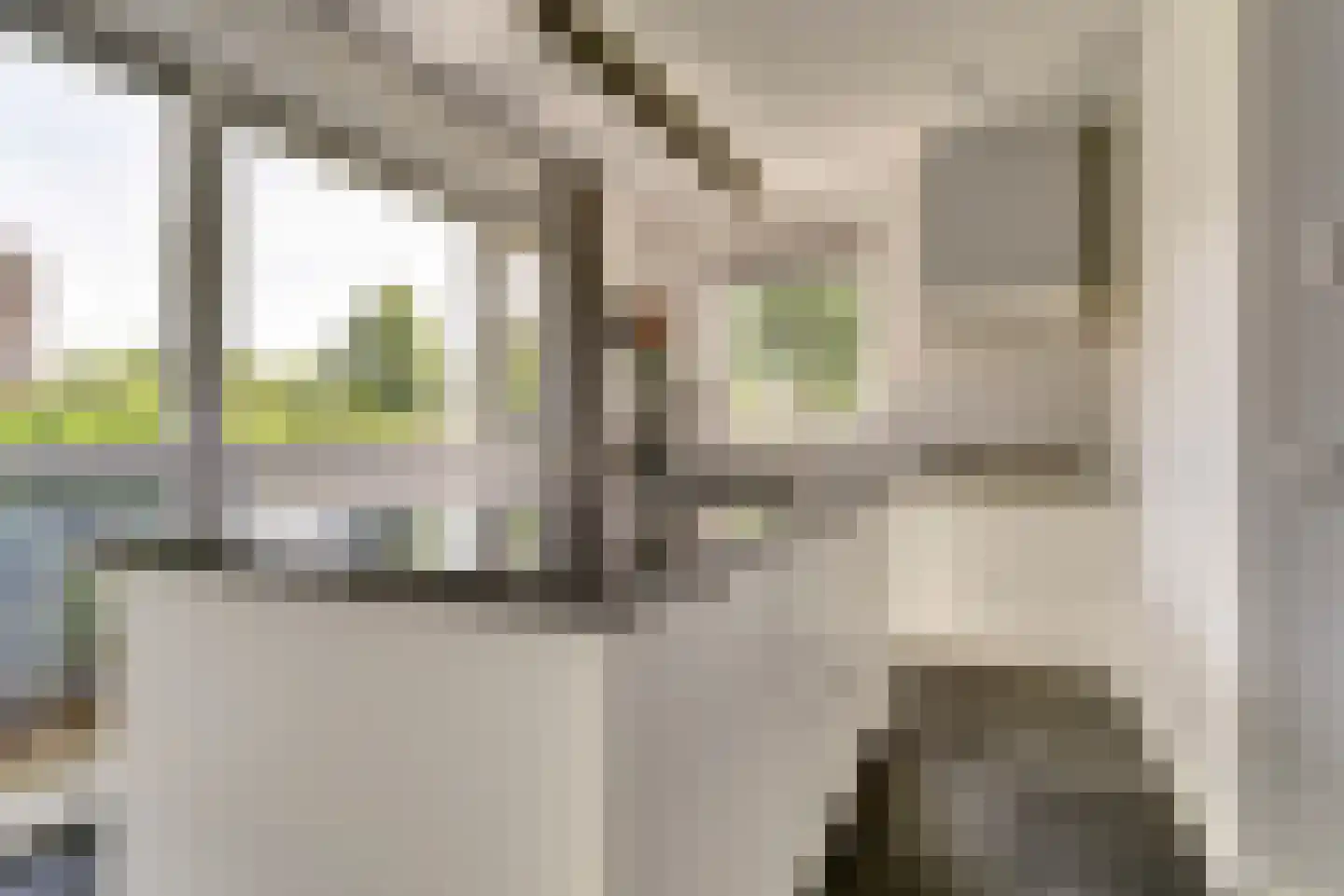 Buurmeester 38 Elst thumbnail 15