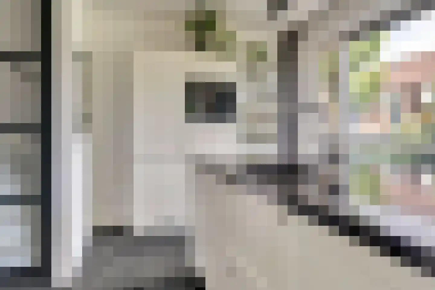 Buurmeester 38 Elst thumbnail 18