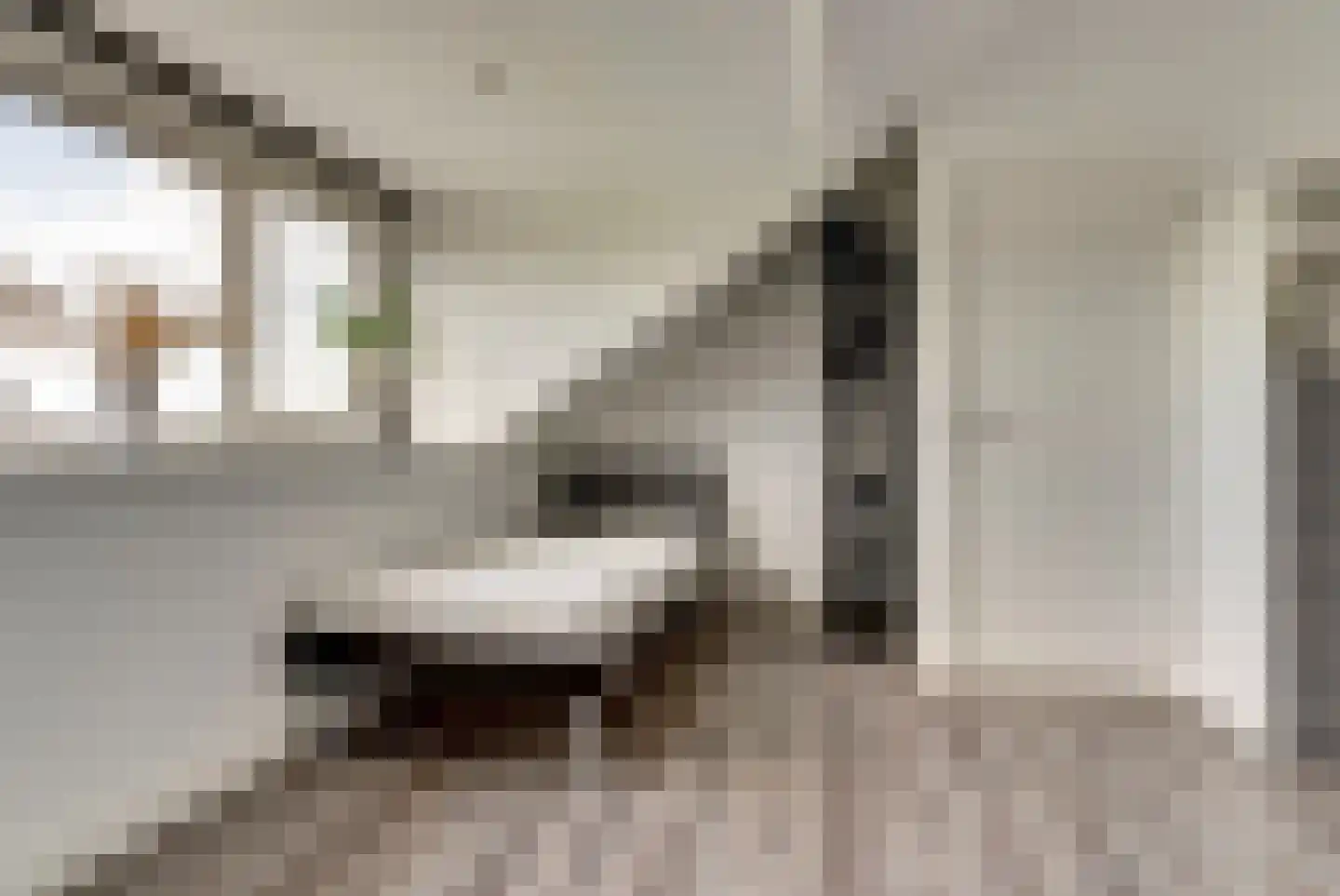 Buurmeester 38 Elst thumbnail 30
