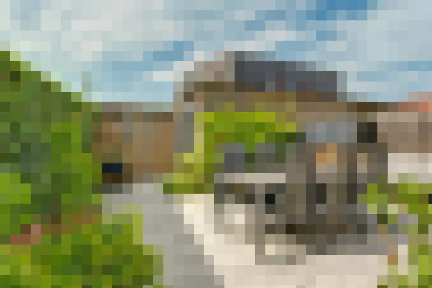 Buurmeester 38 Elst thumbnail 34