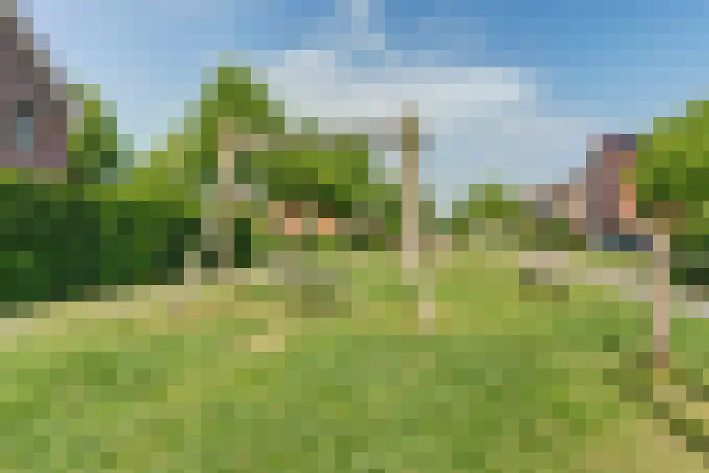 Buurmeester 38 Elst thumbnail 39