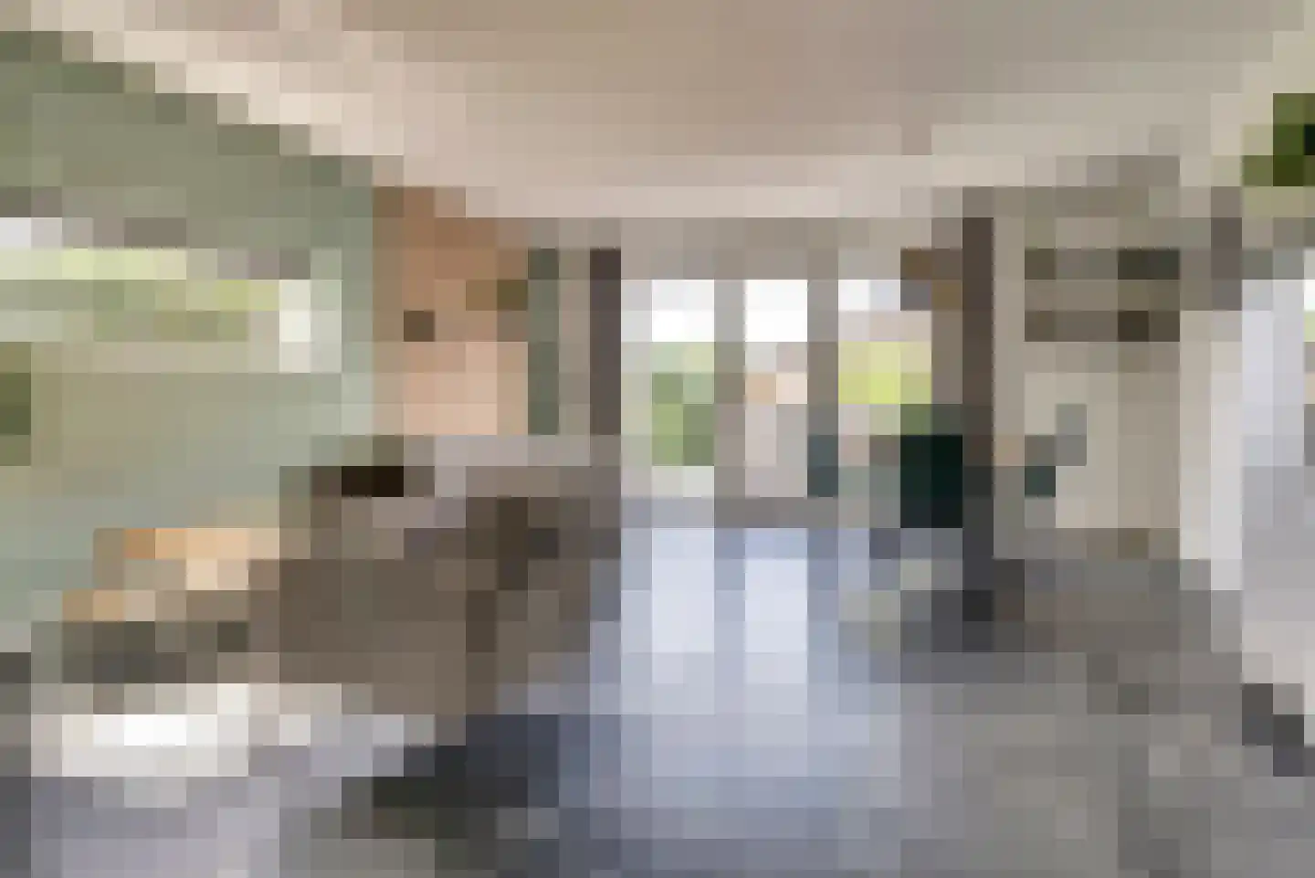 Buurmeester 38 Elst thumbnail 5