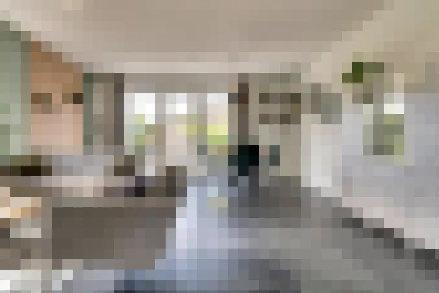 Buurmeester 38 Elst thumbnail 6