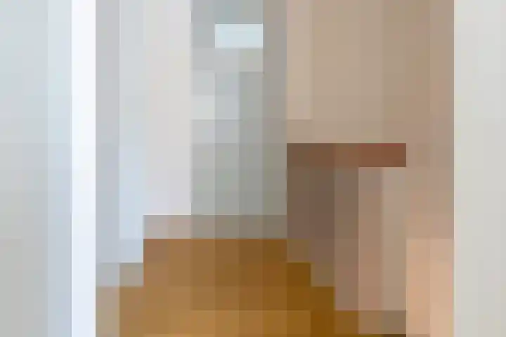 Buurmeestersstraat 5 Rheden thumbnail 18