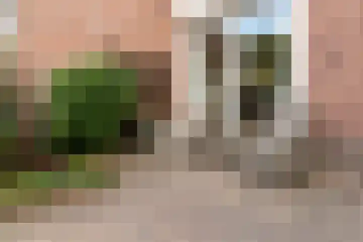 Buurmeestersstraat 5 Rheden thumbnail 21