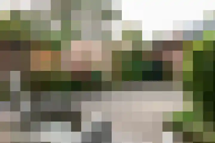 Buurmeestersstraat 5 Rheden thumbnail 22