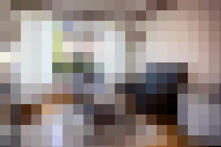 Buurmeestersstraat 5 Rheden thumbnail 5