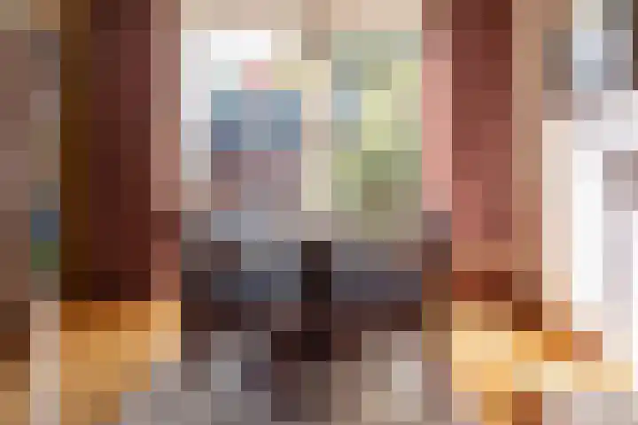 Buurmeestersstraat 5 Rheden thumbnail 7