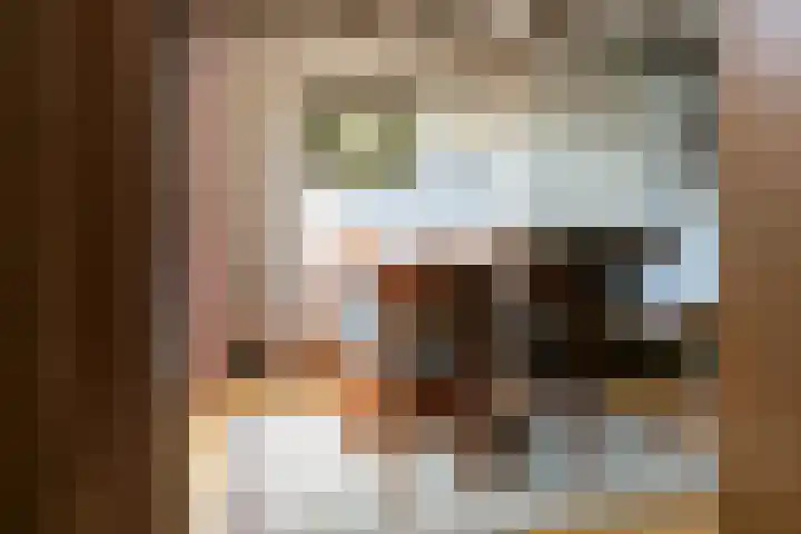Buurmeestersstraat 5 Rheden thumbnail 8