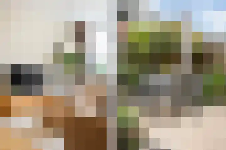 Buurschappenlaan 121 's-Hertogenbosch thumbnail 10