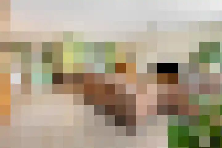 Buurschappenlaan 121 's-Hertogenbosch thumbnail 11