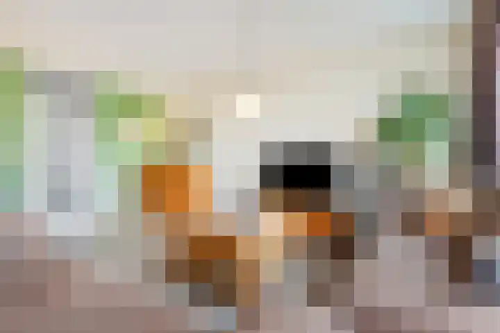 Buurschappenlaan 121 's-Hertogenbosch thumbnail 12