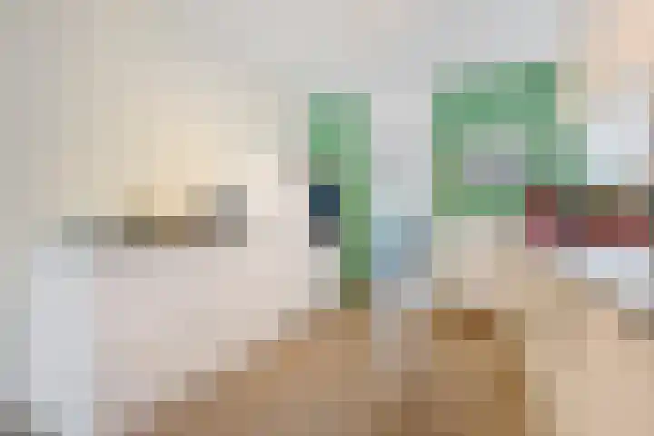 Buurschappenlaan 121 's-Hertogenbosch thumbnail 19