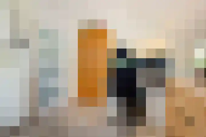 Buurschappenlaan 121 's-Hertogenbosch thumbnail 22