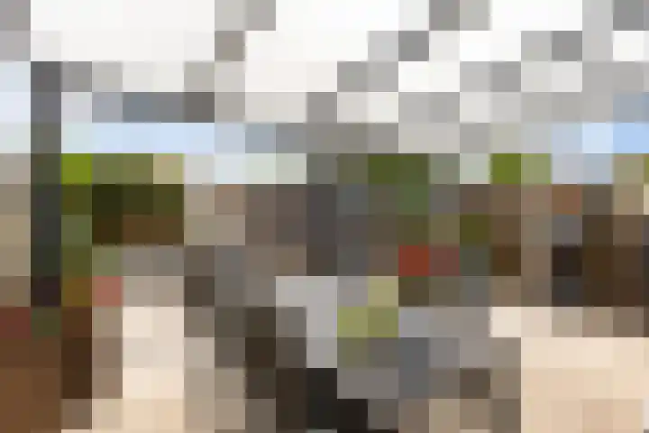 Buurschappenlaan 121 's-Hertogenbosch thumbnail 25