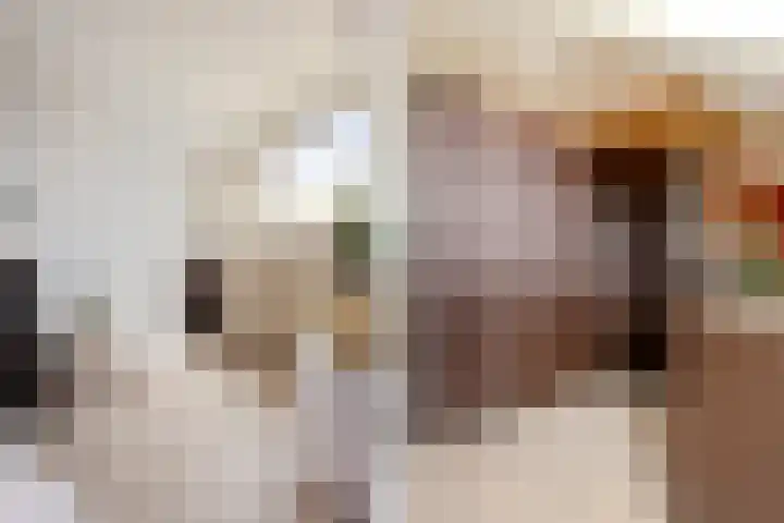 Buurschappenlaan 121 's-Hertogenbosch thumbnail 34