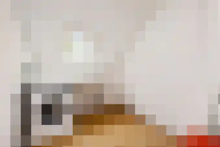 Buurschappenlaan 121 's-Hertogenbosch thumbnail 40