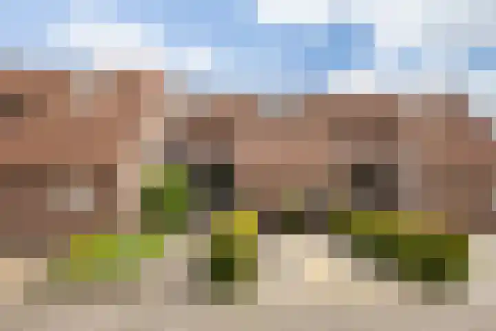 Buurschappenlaan 121 's-Hertogenbosch thumbnail 42