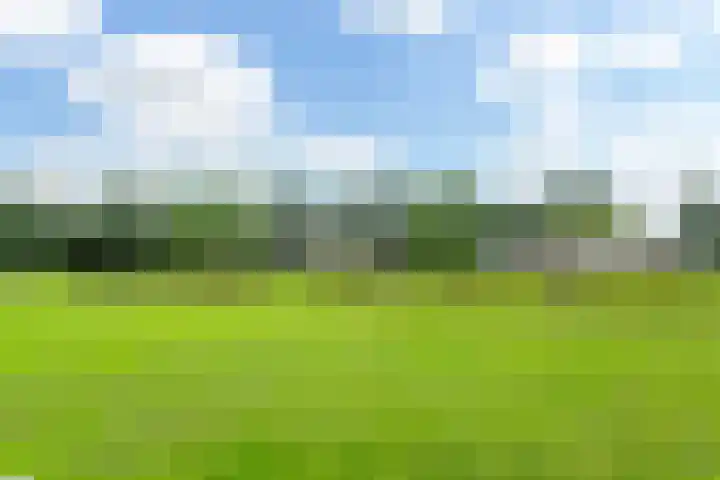 Buurschappenlaan 121 's-Hertogenbosch thumbnail 46