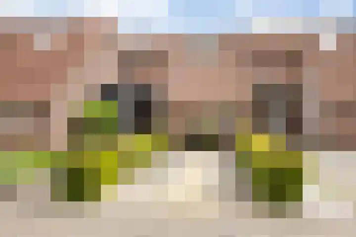 Buurschappenlaan 121 's-Hertogenbosch thumbnail 5
