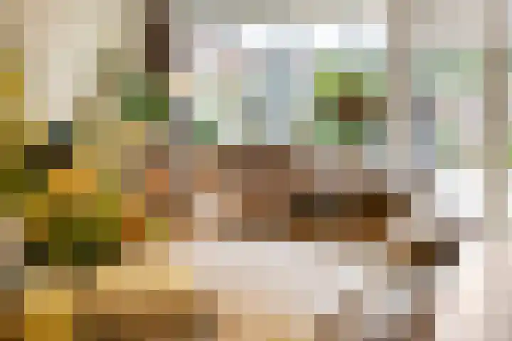 Buurschappenlaan 121 's-Hertogenbosch thumbnail 9