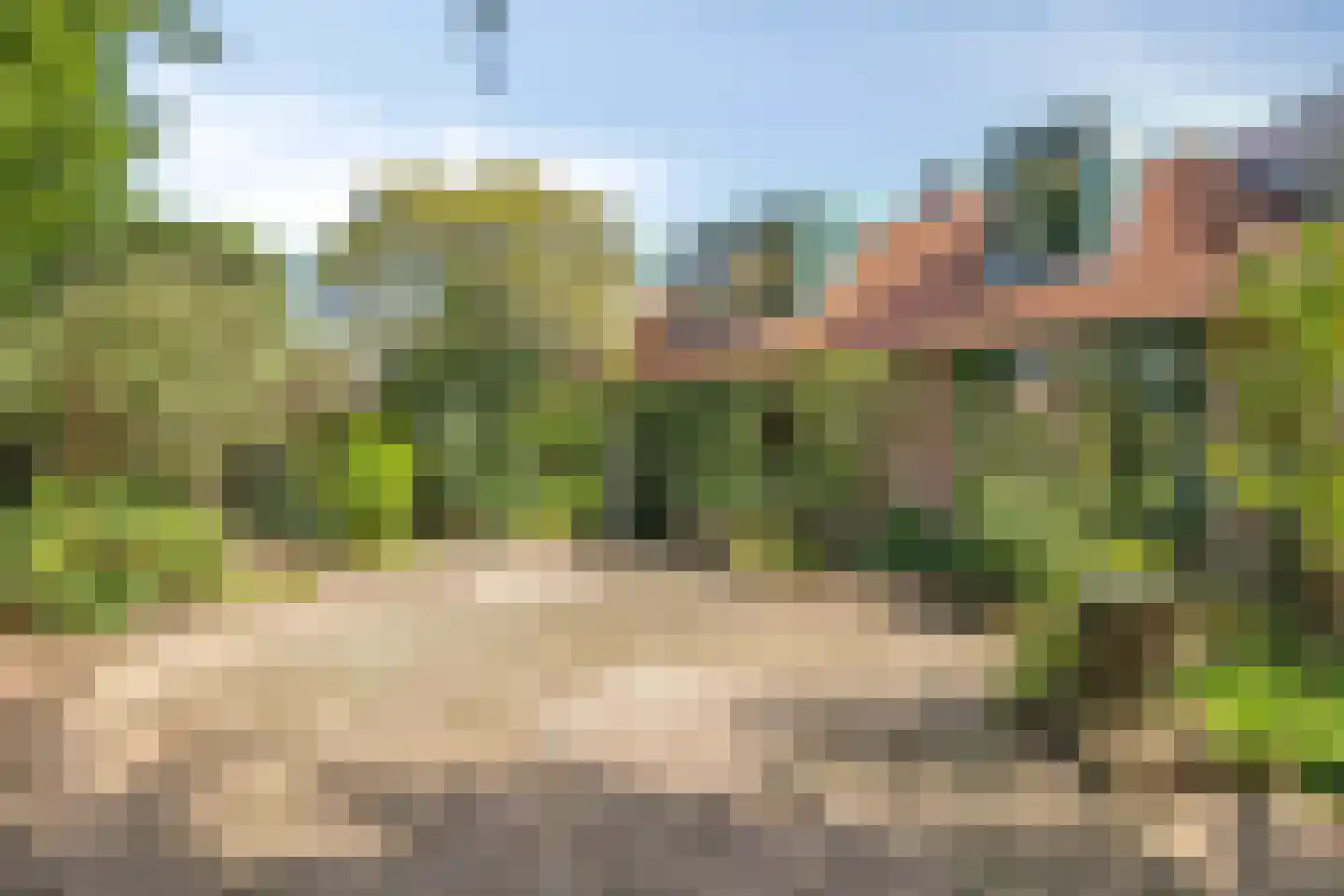 Buurschappenlaan 138 's-Hertogenbosch thumbnail 37