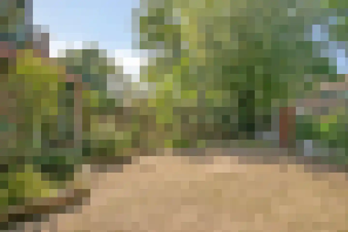 Buurschappenlaan 138 's-Hertogenbosch thumbnail 38