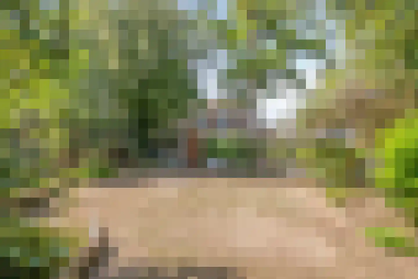 Buurschappenlaan 138 's-Hertogenbosch thumbnail 39