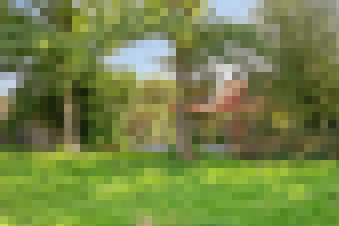 Buurschappenlaan 138 's-Hertogenbosch thumbnail 43