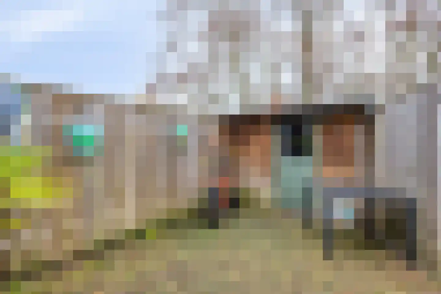Buurschappenlaan 156 's-Hertogenbosch thumbnail 13