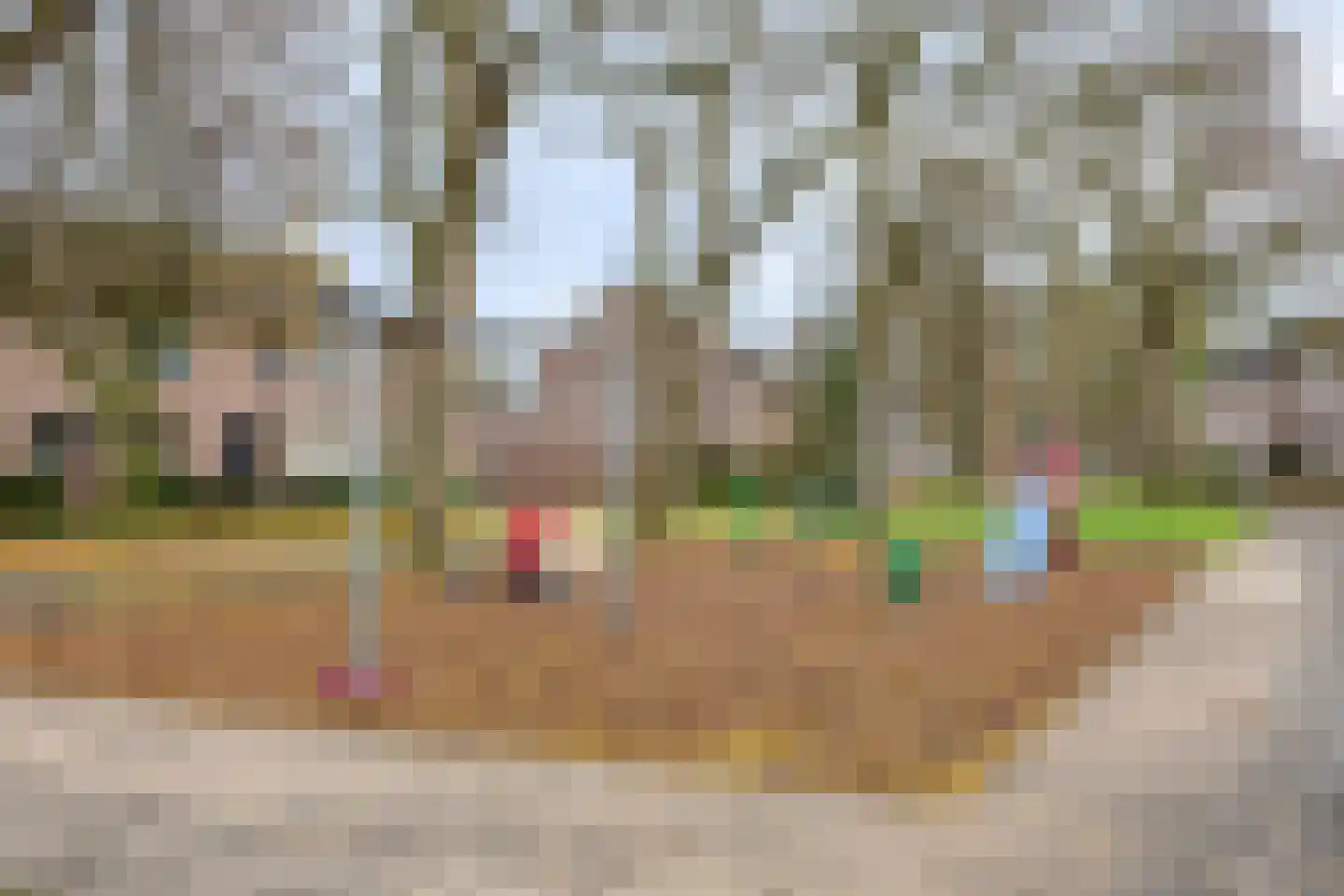 Buurschappenlaan 156 's-Hertogenbosch thumbnail 18