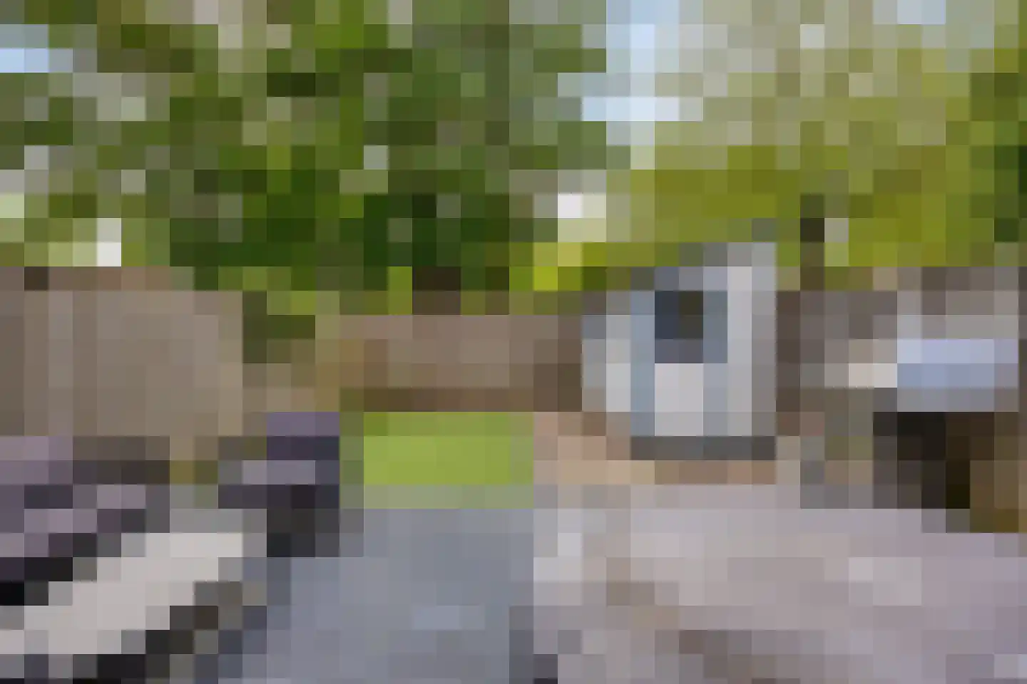Buurschappenlaan 166 's-Hertogenbosch thumbnail 22