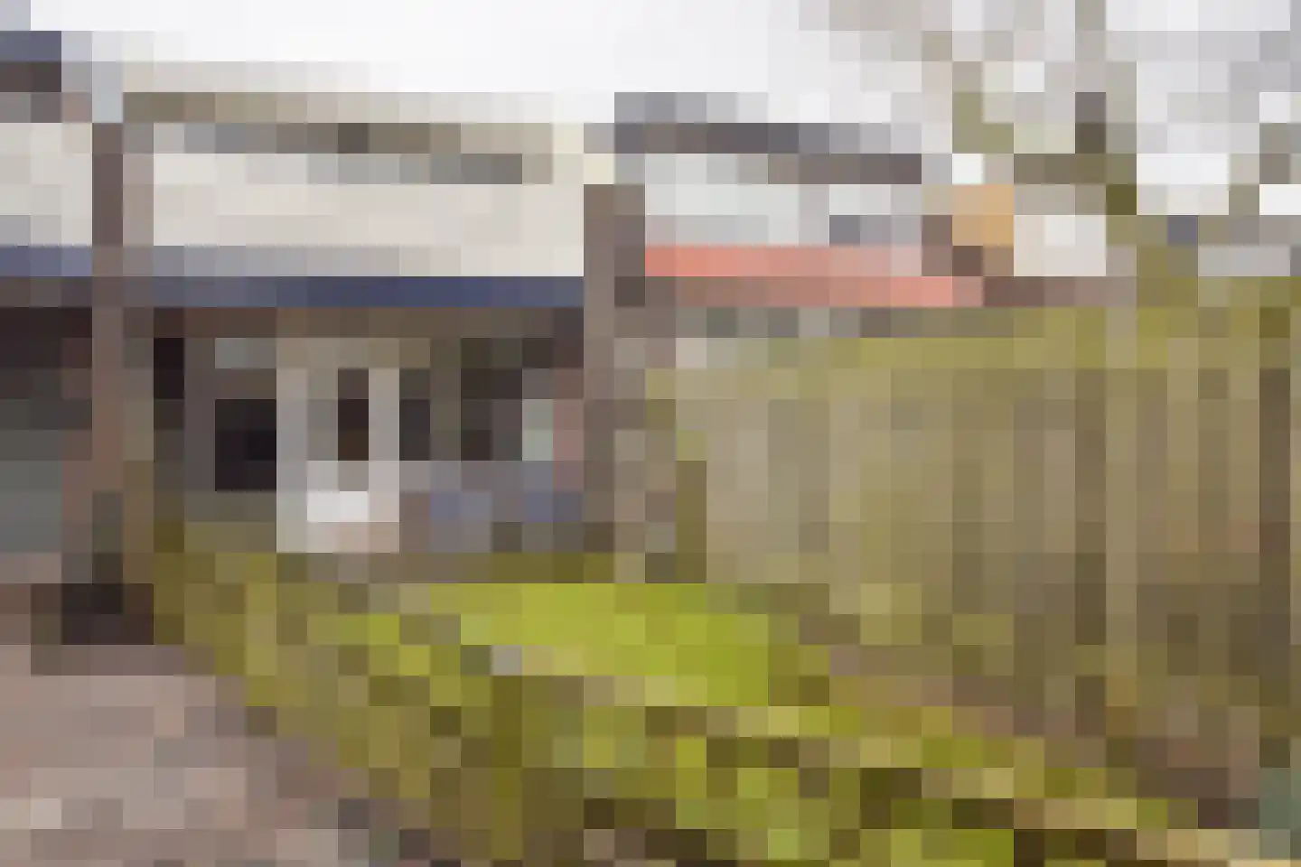 Buurschappenlaan 170 's-Hertogenbosch thumbnail 22