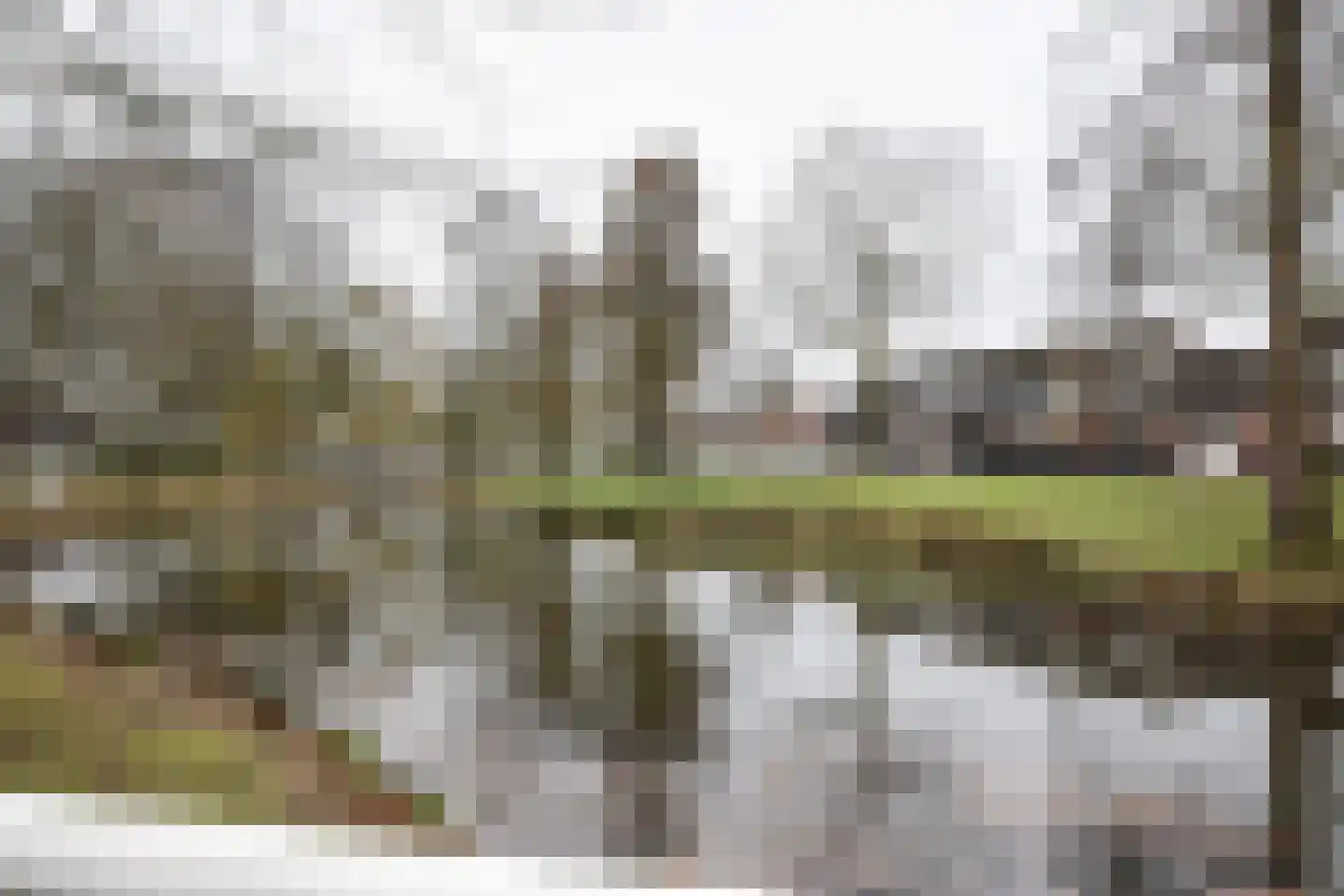 Buurschappenlaan 170 's-Hertogenbosch thumbnail 25