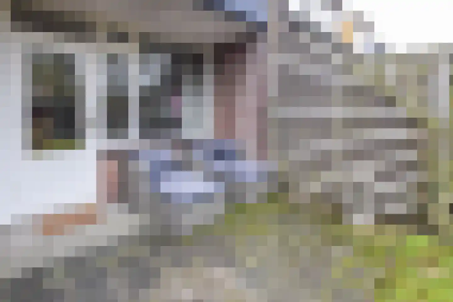 Buurschappenlaan 170 's-Hertogenbosch thumbnail 4