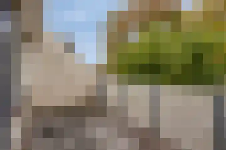 Buurschappenlaan 174 's-Hertogenbosch thumbnail 4