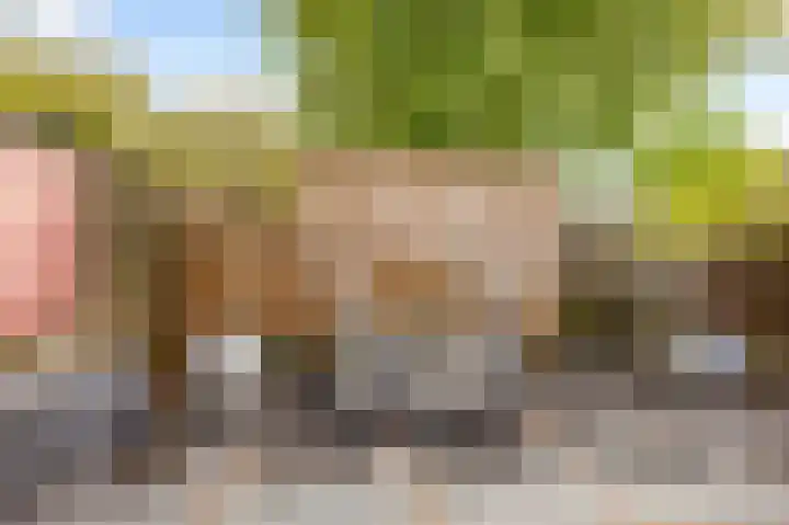 Buurschappenlaan 216 's-Hertogenbosch thumbnail 16